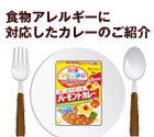 食物アレルギーに対応したカレーのご紹介　ハウス食品グループ公式サイトへ