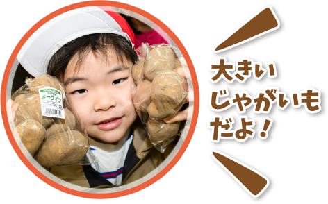 大きいじゃがいもだよ！