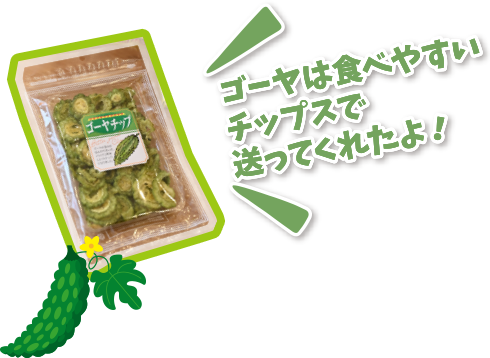 ゴーヤは食べやすいチップスで送ってくれたよ！