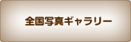 Sʐ^M[