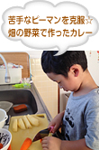 苦手なピーマンを克服☆畑の野菜で作ったカレー