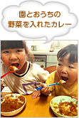 園とおうちの野菜を入れたカレー
