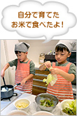 自分で育てたお米で食べたよ！