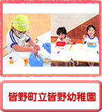 F쒬Fct