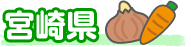 {茧