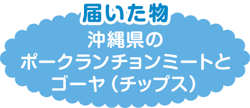 届いた物　沖縄県のポークランチョンミートとゴーヤ（チップス）