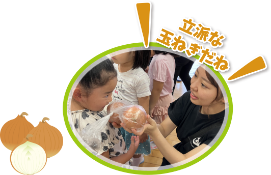 立派な玉ねぎだね